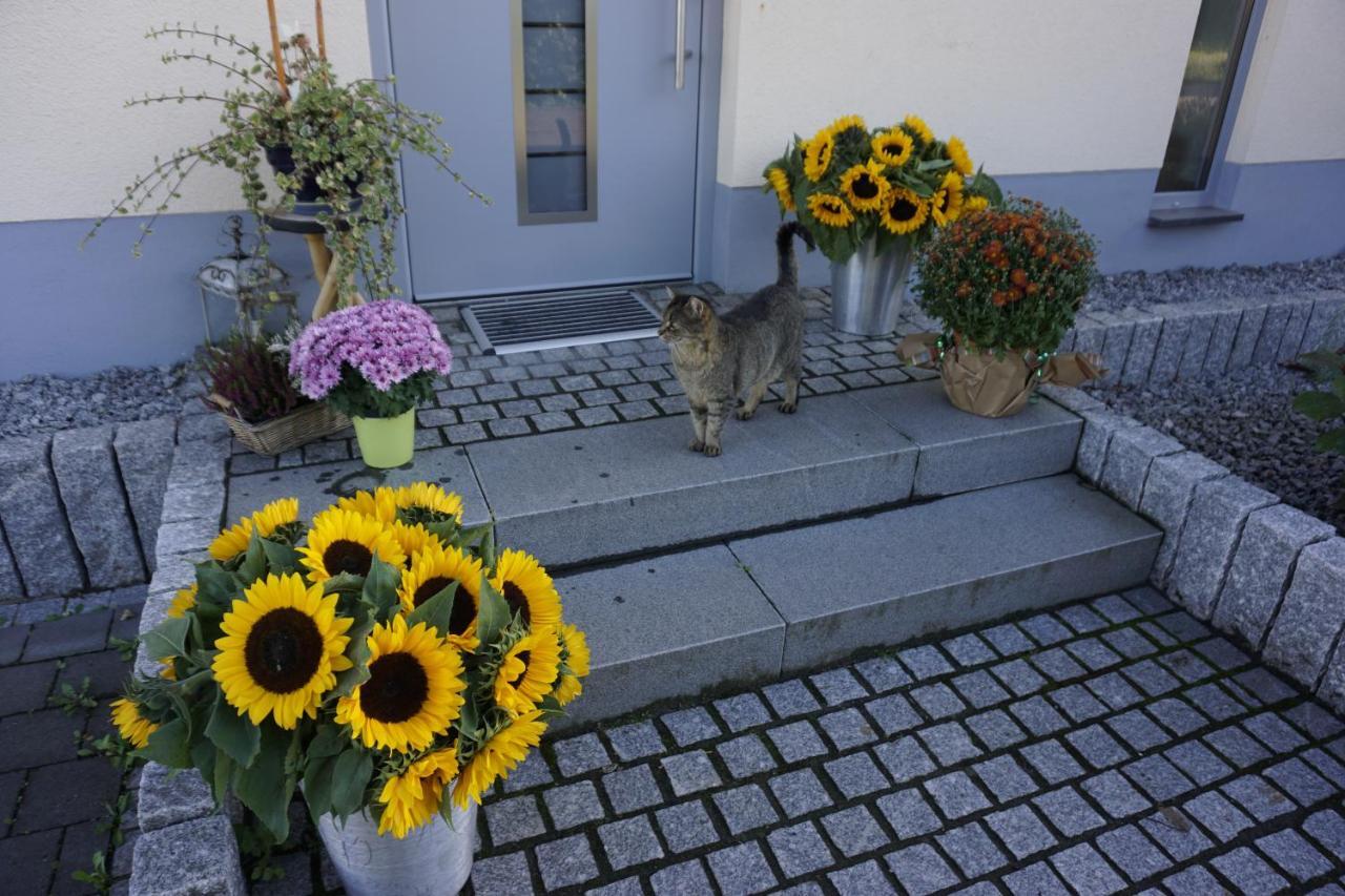Apartmán Rieslingstube Bei Britta & Joachim Undenheim Exteriér fotografie